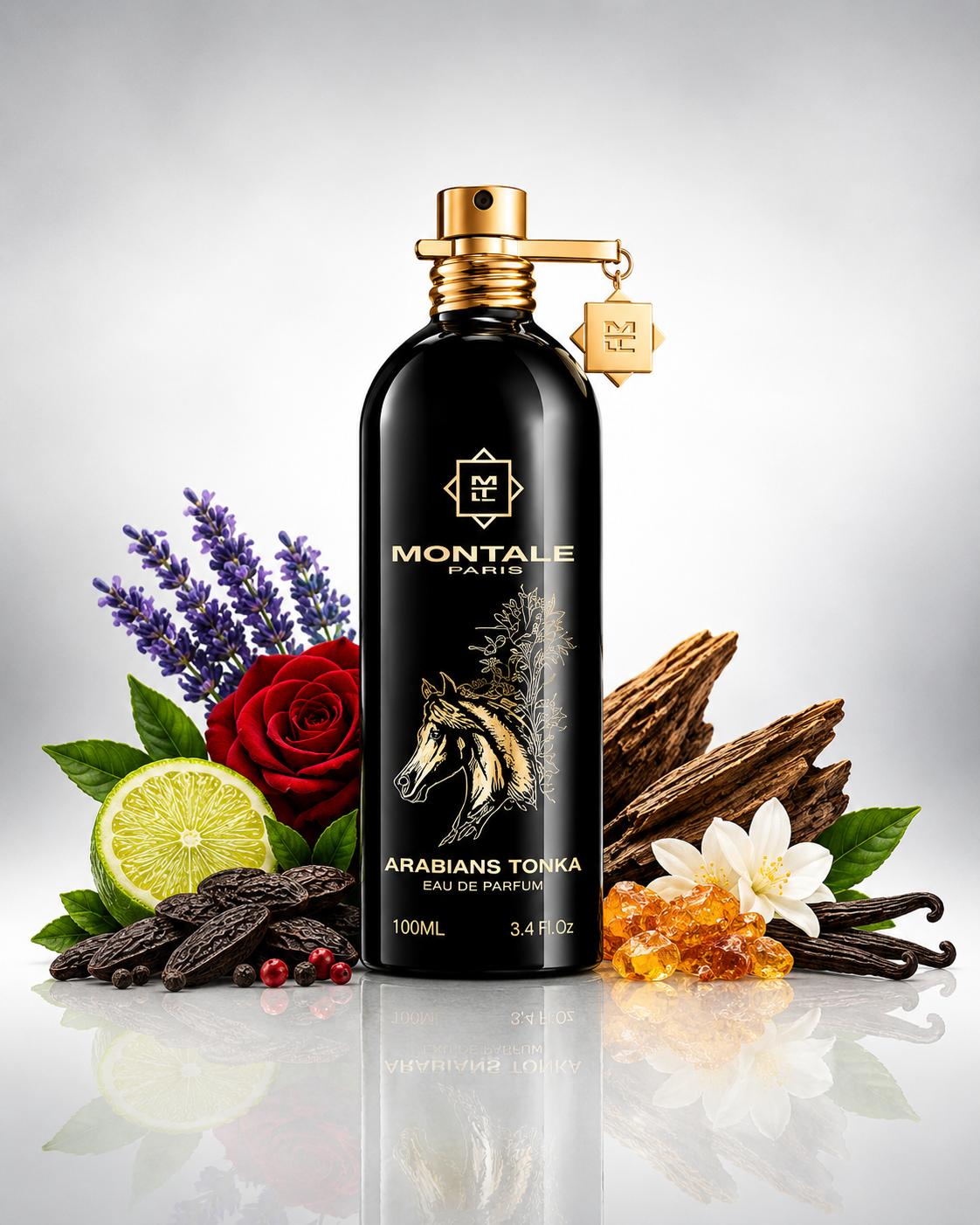MONTALE ARABIANS TONKA